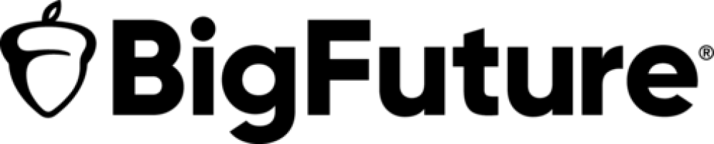 Big Future Logo